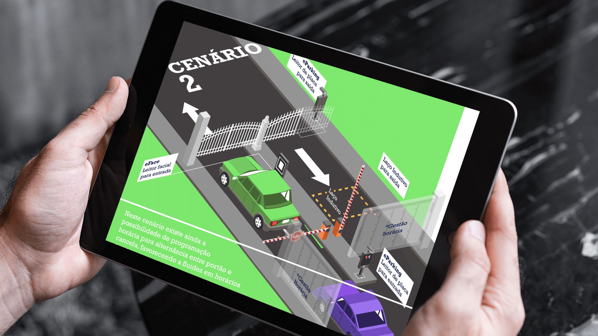 portfolio-bicho-solto-inc-site-easy5-background-3